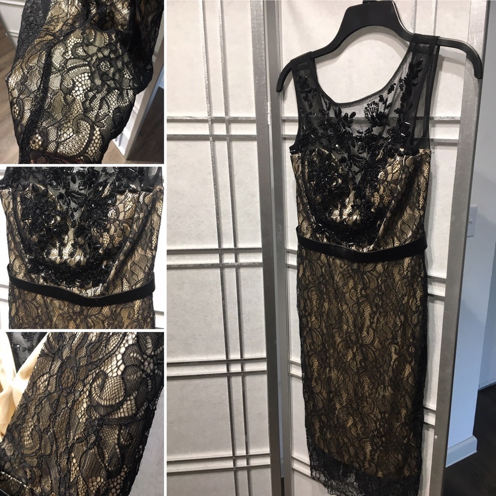 Gorgeous, detailed lace and beaded cocktail dress